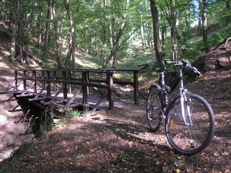 12-atkelo_hid_p.szentlaszlo_alatt.jpg 12-atkelo_hid_p.szentlaszlo_alatt.jpg