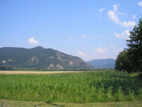 12-p7102461.jpg 12-p7102461.jpg