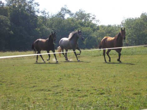 12-p7172518.jpg 12-p7172518.jpg