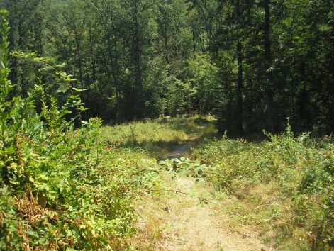 12-p8172731.jpg 12-p8172731.jpg