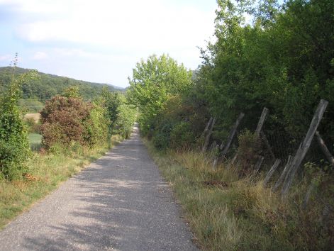 12-p8302771.jpg 12-p8302771.jpg