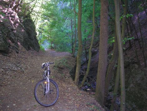 12-p9042821.jpg 12-p9042821.jpg