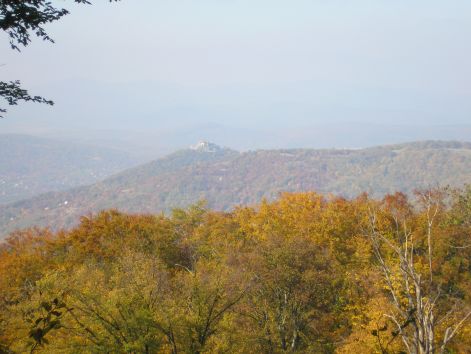 12-pa123061.jpg 12-pa123061.jpg