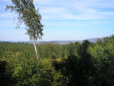 12._tahi_fele.jpg 12._tahi_fele.jpg