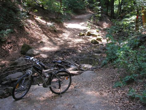 12.atkeles.jpg 12.atkeles.jpg