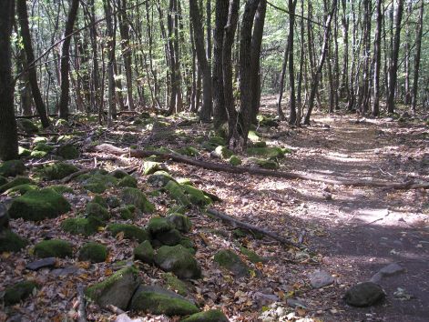 12.egyre_macerasabb.jpg 12.egyre_macerasabb.jpg