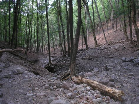 12.nagy_ero_a_viz.jpg 12.nagy_ero_a_viz.jpg