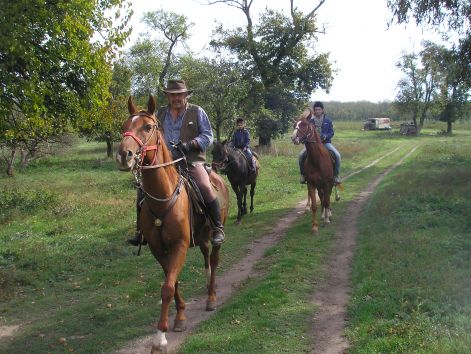 12_lovasok.jpg 12_lovasok.jpg