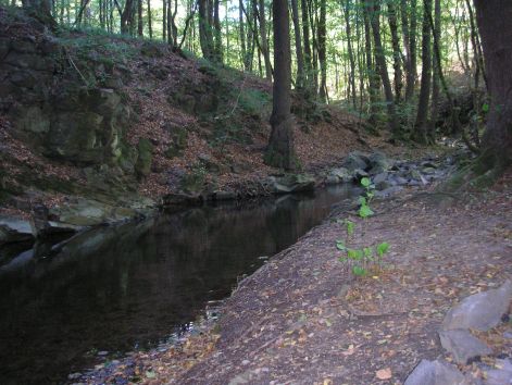 13-bukkos-patak_mellett.jpg 13-bukkos-patak_mellett.jpg