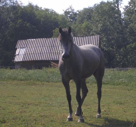 13-deres.jpg 13-deres.jpg