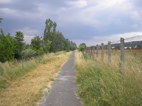 13-p6282308.jpg 13-p6282308.jpg