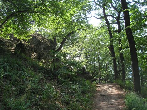 13-p7032387.jpg 13-p7032387.jpg