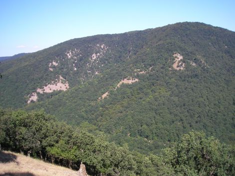 13-p7222570.jpg 13-p7222570.jpg