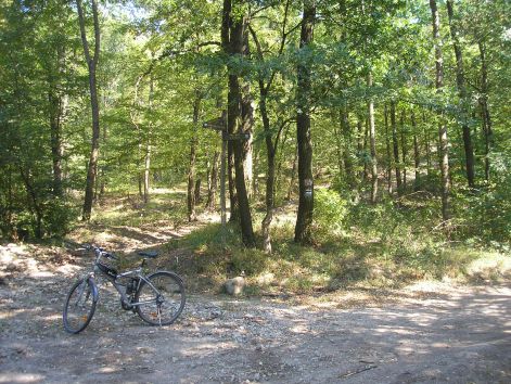 13-p8162697.jpg 13-p8162697.jpg