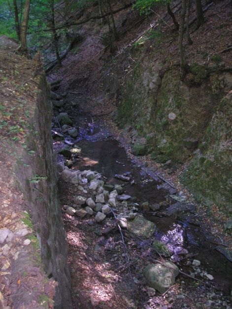 13-p9042820.jpg 13-p9042820.jpg