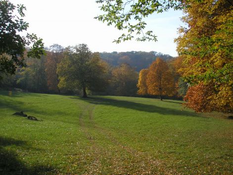 13-pa123062.jpg 13-pa123062.jpg