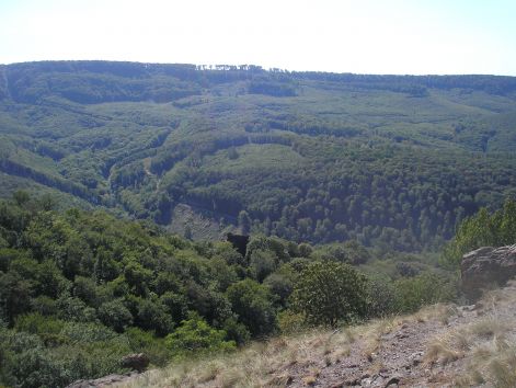 13._a_ram_volgy.jpg 13._a_ram_volgy.jpg