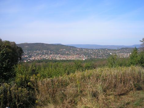 13._nagykovacsi.jpg 13._nagykovacsi.jpg