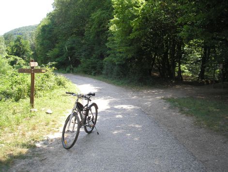 13.leerve.jpg 13.leerve.jpg