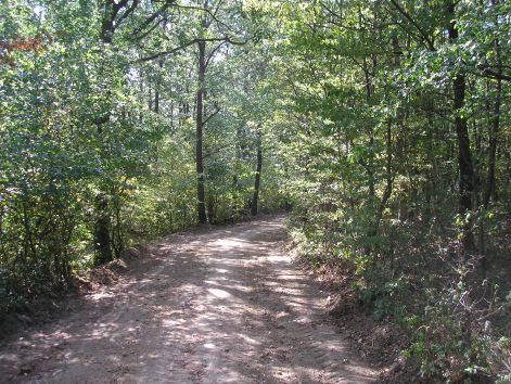 13.pap_ret_fele.jpg 13.pap_ret_fele.jpg