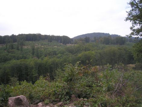 13_fent.jpg 13_fent.jpg