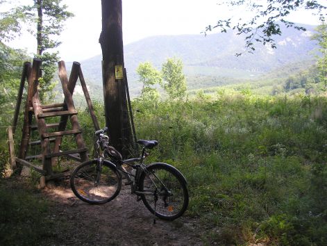 14-p7032389.jpg 14-p7032389.jpg