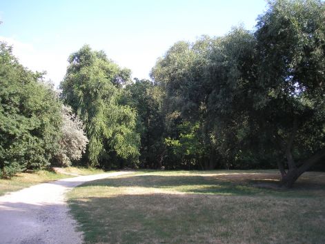 14-p7172523.jpg 14-p7172523.jpg