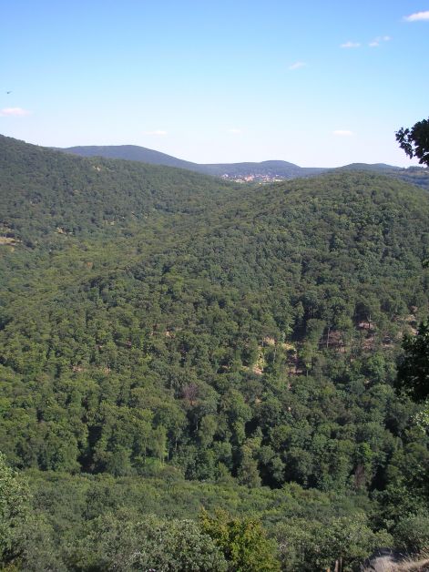 14-p7222572.jpg 14-p7222572.jpg