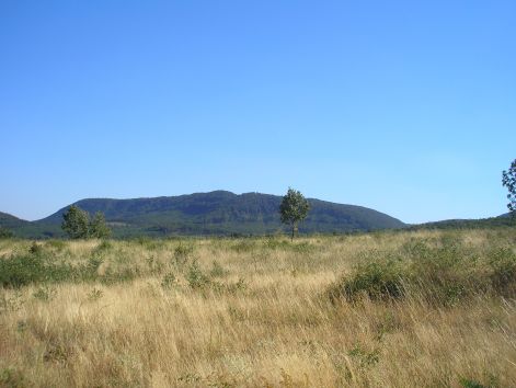 14-p8022643.jpg 14-p8022643.jpg