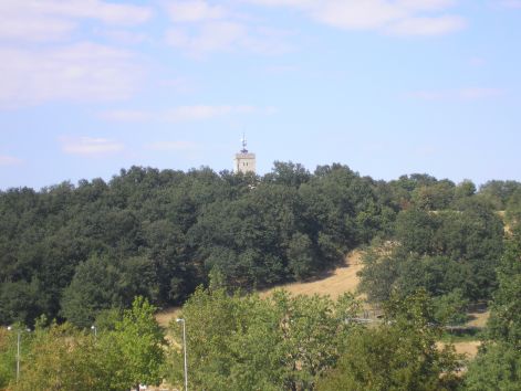 14-p8162699.jpg 14-p8162699.jpg