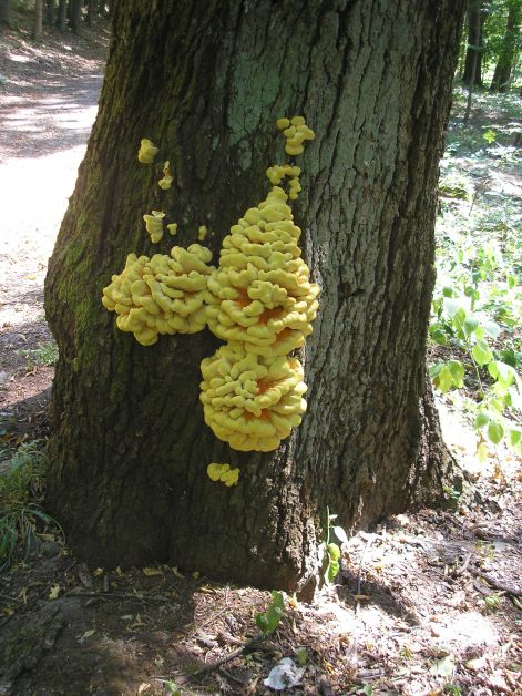 14-p8172733.jpg 14-p8172733.jpg