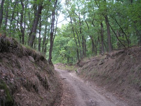 14._lejtmenet_kiskovacsi_folott.jpg 14._lejtmenet_kiskovacsi_folott.jpg