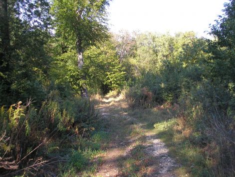 14._terep.jpg 14._terep.jpg