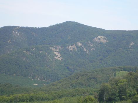 15-p7032393.jpg 15-p7032393.jpg