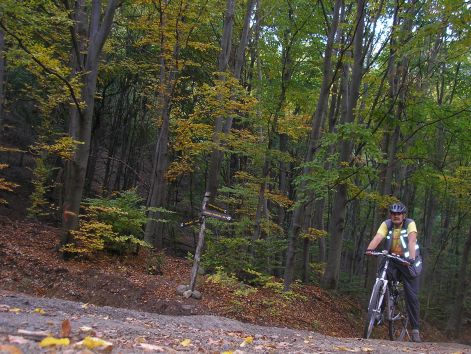 15-pa123067.jpg 15-pa123067.jpg