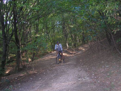 15._lejtmenet.jpg 15._lejtmenet.jpg