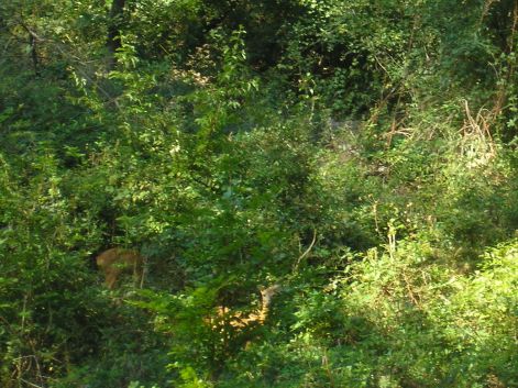 15.ozek.jpg 15.ozek.jpg