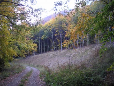 16-1-pa123065.jpg 16-1-pa123065.jpg