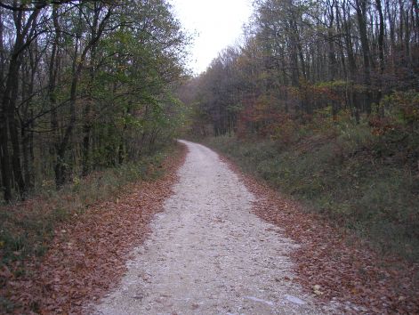 16-1-pa303197.jpg 16-1-pa303197.jpg