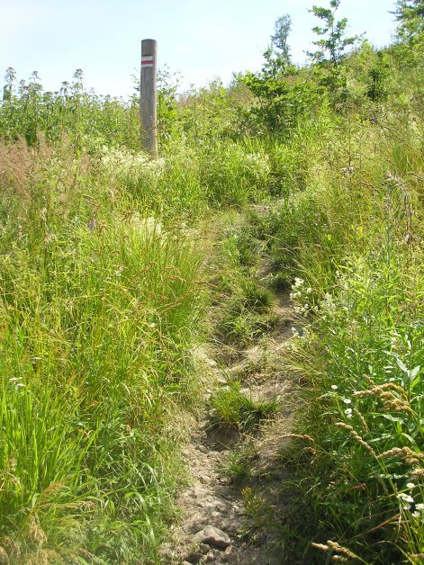 16-p7032394.jpg 16-p7032394.jpg