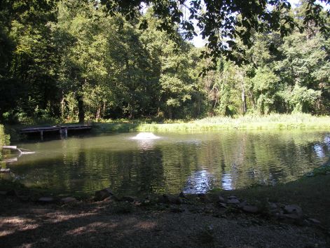 16-p9042825.jpg 16-p9042825.jpg