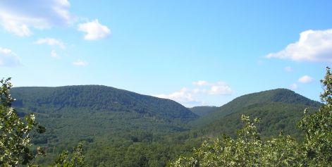 16.pilis.jpg 16.pilis.jpg