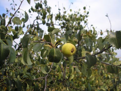 16.vackor_meg_erhet.jpg 16.vackor_meg_erhet.jpg