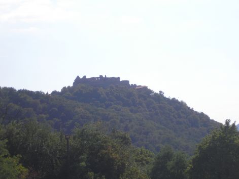 17-p8162704.jpg 17-p8162704.jpg