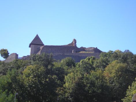 17-p9042827.jpg 17-p9042827.jpg