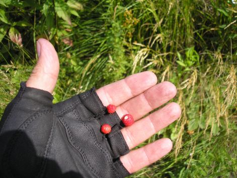 18-p7032396.jpg 18-p7032396.jpg