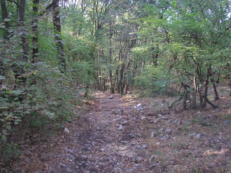 18.razatos.jpg 18.razatos.jpg