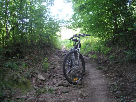 19-p7032397.jpg 19-p7032397.jpg