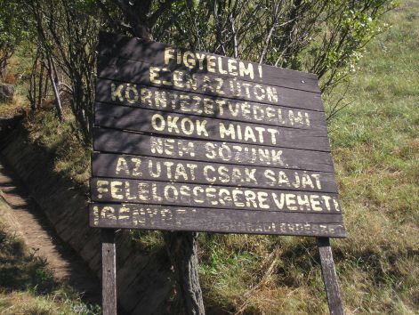 19-p9042829.jpg 19-p9042829.jpg