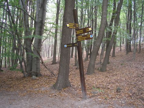 1_elagazas.jpg 1_elagazas.jpg